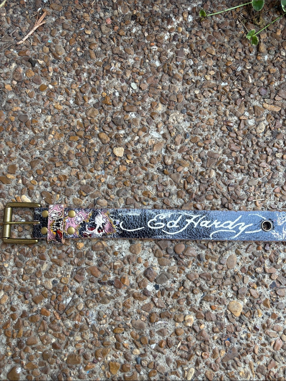 Ed Hardy Black Leather Belt with Multicolor Graphic Accents